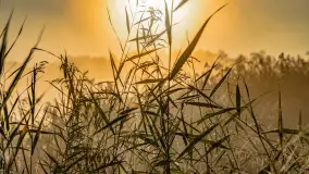 Wrześniowy i mglisty wschód słońca nad jeziorem Mój - zdjęcie 29