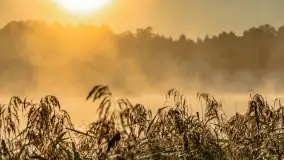 Wrześniowy i mglisty wschód słońca nad jeziorem Mój - zdjęcie 37