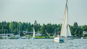 Bocianie Gniazdo Sailing Cup 2023 - fotorelacja - zdjęcie 175