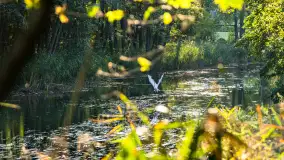 Piękno Sapiny w okolicach Pozezdrza, wrzesień 2023 r. - zdjęcie 19