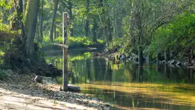 Piękno Sapiny w okolicach Pozezdrza, wrzesień 2023 r. - zdjęcie 9