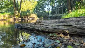 Piękno Sapiny w okolicach Pozezdrza, wrzesień 2023 r. - zdjęcie 3