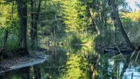 Piękno Sapiny w okolicach Pozezdrza, wrzesień 2023 r. - zdjęcie 8