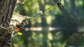 Piękno Sapiny w okolicach Pozezdrza, wrzesień 2023 r. - zdjęcie 23