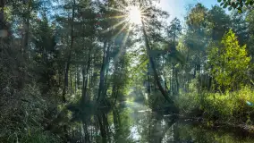 Piękno Sapiny w okolicach Pozezdrza, wrzesień 2023 r. - zdjęcie 20