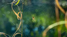 Piękno Sapiny w okolicach Pozezdrza, wrzesień 2023 r. - zdjęcie 11