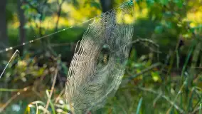 Piękno Sapiny w okolicach Pozezdrza, wrzesień 2023 r. - zdjęcie 18