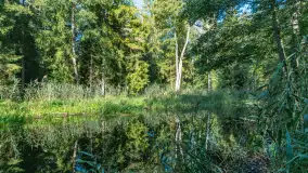 Piękno Sapiny w okolicach Pozezdrza, wrzesień 2023 r. - zdjęcie 30