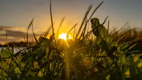 Zachód słońca nad jeziorem Mój, październik 2023 r. - zdjęcie 14