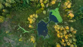 Zachód słońca nad jeziorem Mój, październik 2023 r. - zdjęcie 28