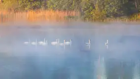 Miłośnicy Mazur - magia regionu na zdjęciach Marty Sotnik - zdjęcie 14