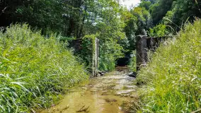 Miłośnicy Mazur - magia regionu na zdjęciach Marty Sotnik - zdjęcie 6