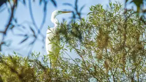 Miłośnicy Mazur - magia regionu na zdjęciach Marty Sotnik - zdjęcie 13