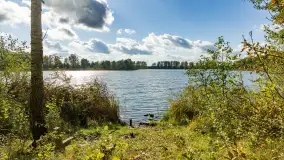 Jesień nad jeziorem Iławki, końcówka października 2023 r. - zdjęcie 15