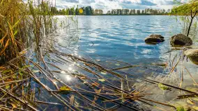 Jesień nad jeziorem Iławki, końcówka października 2023 r. - zdjęcie 2