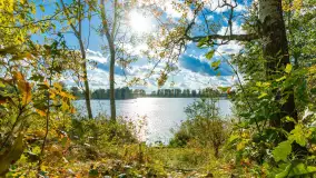 Jesień nad jeziorem Iławki, końcówka października 2023 r. - zdjęcie 8