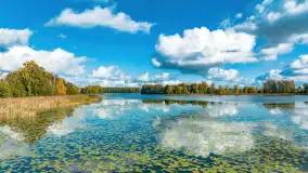 Jesień nad jeziorem Iławki, końcówka października 2023 r. - zdjęcie 32