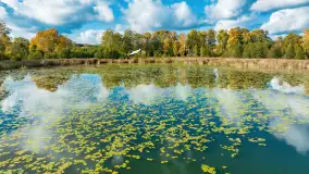 Jesień nad jeziorem Iławki, końcówka października 2023 r. - zdjęcie 4