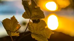 Sierpniowy zachód słońca nad Darginem, Sun Bila Pieczarki - zdjęcie 26