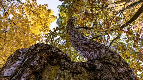Złota mazurska jesień w Mrągowie nad jeziorem Juno - zdjęcie 7