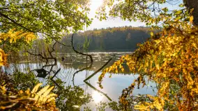 Złota mazurska jesień w Mrągowie nad jeziorem Juno - zdjęcie 5