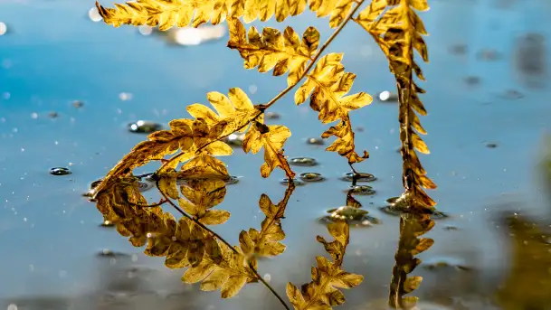 Złota mazurska jesień w Mrągowie nad jeziorem Juno - zdjęcie 6