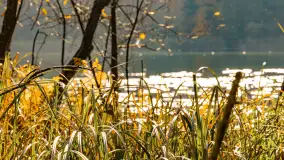 Złota mazurska jesień w Mrągowie nad jeziorem Juno - zdjęcie 3