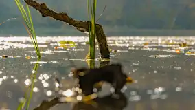 Złota mazurska jesień w Mrągowie nad jeziorem Juno - zdjęcie 37