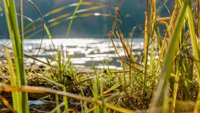 Złota mazurska jesień w Mrągowie nad jeziorem Juno - zdjęcie 26