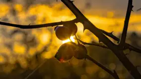 Jesień nad jeziorem Iławki, październik 2023 r. - zdjęcie 36