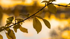 Jesień nad jeziorem Iławki, październik 2023 r. - zdjęcie 22