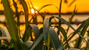 Zachód słońca nad jeziorem Bełdany, Mazurski Raj - zdjęcie 8