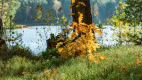 Magia mazurskiej jesieni nad jeziorem Wesołek, listopad 2023 r. - zdjęcie 12