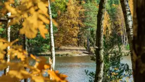 Magia mazurskiej jesieni nad jeziorem Wesołek, listopad 2023 r. - zdjęcie 5