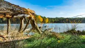 Magia mazurskiej jesieni nad jeziorem Wesołek, listopad 2023 r. - zdjęcie 27