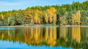 Magia mazurskiej jesieni nad jeziorem Wesołek, listopad 2023 r. - zdjęcie 28
