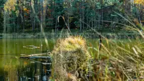 Magia mazurskiej jesieni nad jeziorem Wesołek, listopad 2023 r. - zdjęcie 36