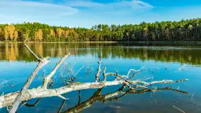 Magia mazurskiej jesieni nad jeziorem Wesołek, listopad 2023 r. - zdjęcie 41