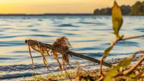 Wrześniowy zachód słońca nad jeziorem Dargin - zdjęcie 17