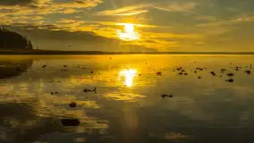 Wschód słońca nad jeziorem Dobskim, listopad 2023 r. - zdjęcie 35