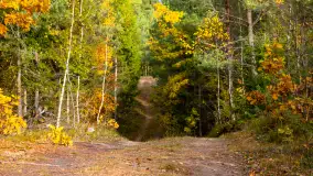 Fotograficzne podsumowanie jesieni 2023 cz. I - zdjęcie 30