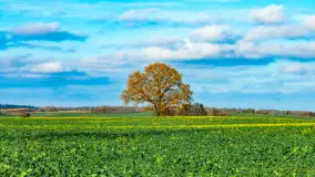 Fotograficzne podsumowanie jesieni 2023 cz. I - zdjęcie 34