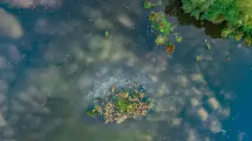 Fotograficzne podsumowanie jesieni 2023 cz. I - zdjęcie 14