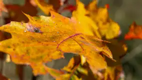 Fotograficzne podsumowanie jesieni 2023 cz. II - zdjęcie 40