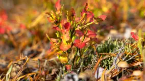 Fotograficzne podsumowanie jesieni 2023 cz. II - zdjęcie 20