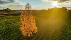 Fotograficzne podsumowanie jesieni 2023 cz. II - zdjęcie 34