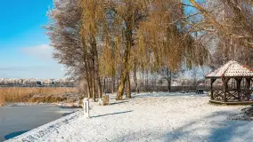 Mazurska biała jesień w porcie Ognisty Ptak, listopad 2023 r. - zdjęcie 31