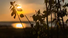 Zachód nad jeziorem Niegocin, listopad 2023 r. - zdjęcie 6