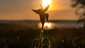 Zachód nad jeziorem Niegocin, listopad 2023 r. - zdjęcie 20