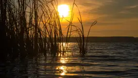 Zachód nad jeziorem Niegocin, listopad 2023 r. - zdjęcie 12